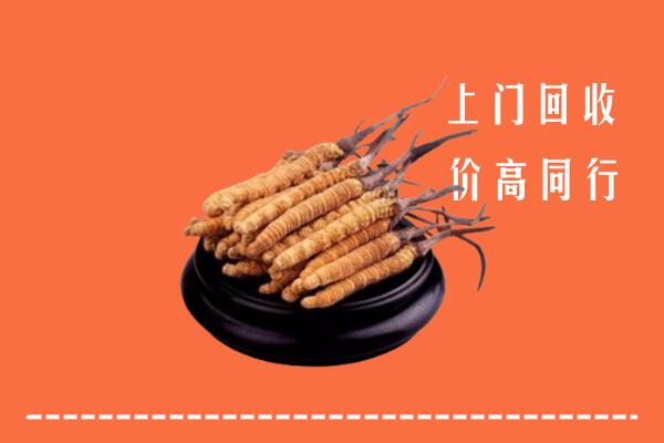 高价求购：辽阳县回收散虫草
