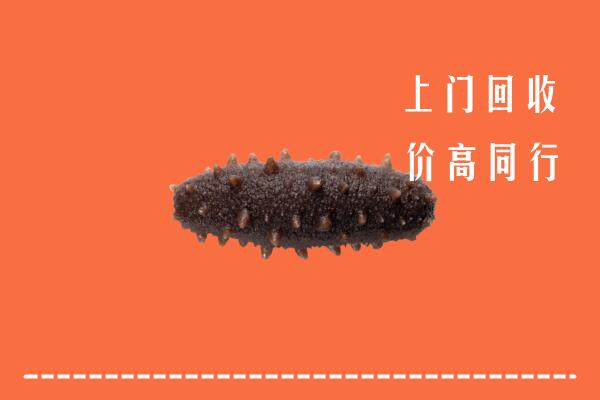 高价求购：辽阳县回收海参
