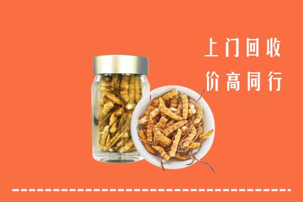 收购行情：辽阳县回收冬虫夏草